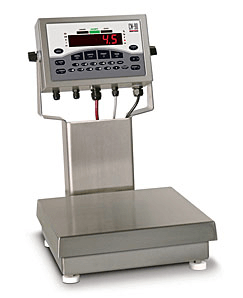 Bench scales available at Badger Scale Inc. from manufacturers like Fairbanks, Rice Lake, and IG Series